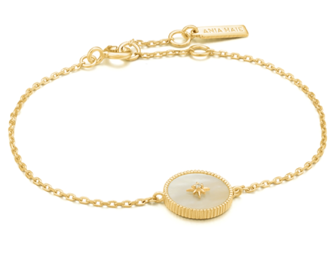 Ania Haie HIDDEN GEM B022-02G - Vista frontal