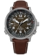 CITIZEN RADIOCONTROL CB0240-29X