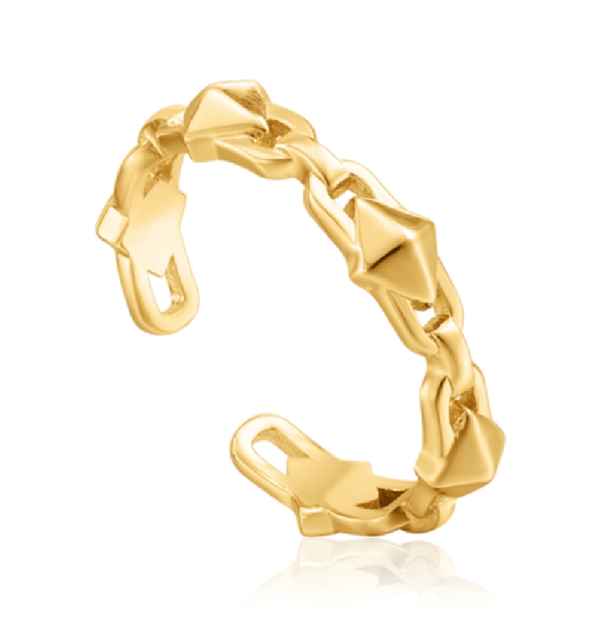 Ania Haie SPIKE IT UP R025-02G - Vista frontal