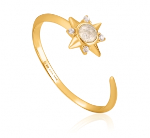 RELOJ ANIA HAIE MIDNIGHT FEVER R026-03G