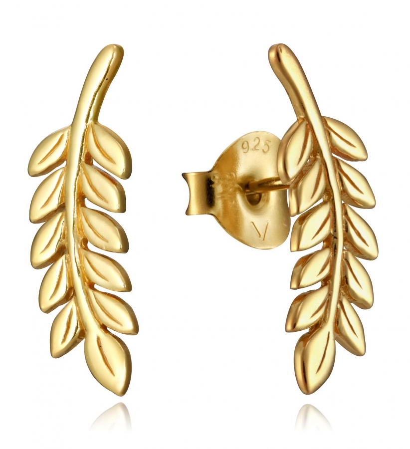 Viceroy PENDIENTES 5125E100-06 - Vista frontal