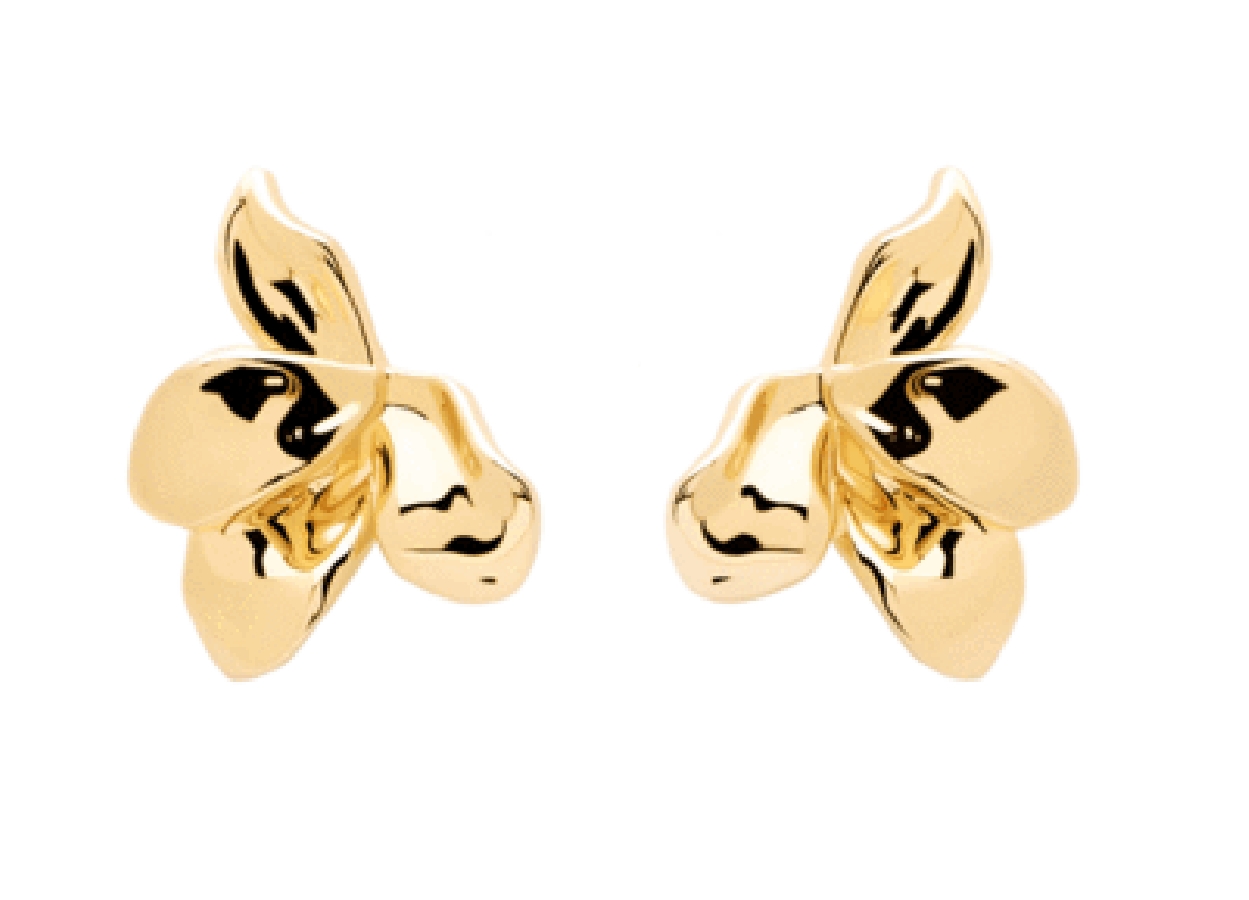 PDPAOLA NARCISE PENDIENTES AR01-191-U - Vista frontal