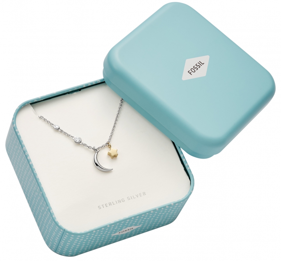 Fossil JEWELRY STERLING SILVER COLLAR  JFS00432998 - Vista frontal