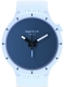 SWATCH BIOCERAMIC ARCTIC SB03N102