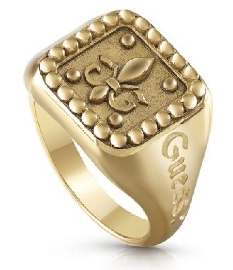 Guess KNIGHT FLOWER JUMR01328JWAG64 - Vista frontal