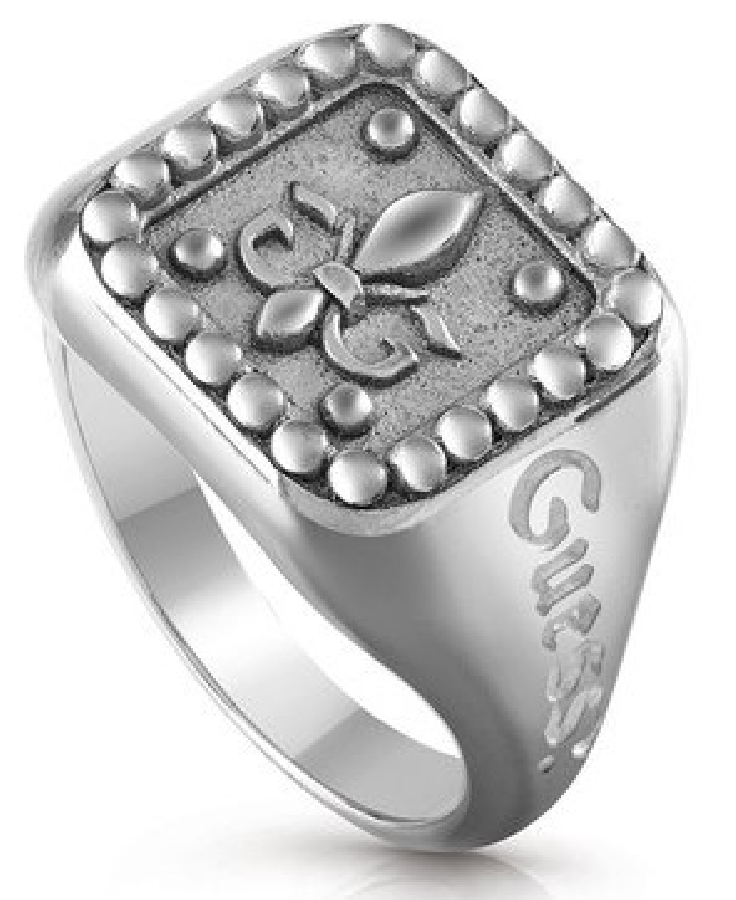 Guess KNIGHT FLOWER JUMR01328JWAS62 - Vista frontal