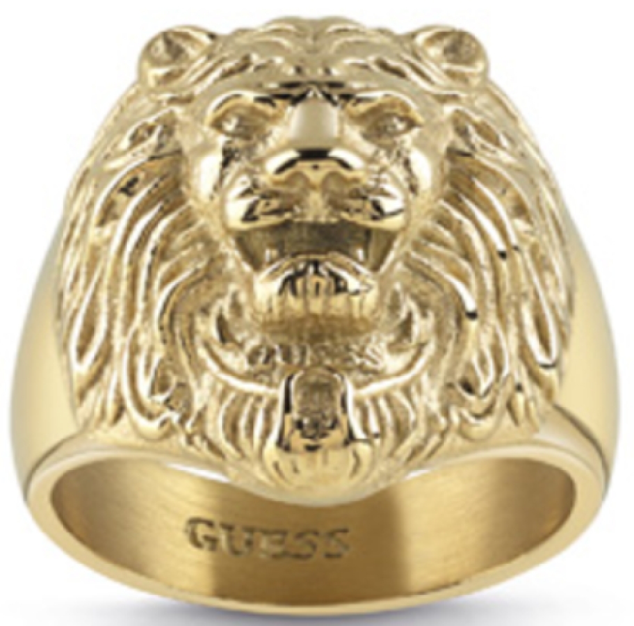 Guess MEN IN UMR78001-66 - Vista frontal