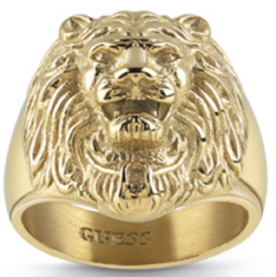 Guess MEN IN UMR78001-64 - Vista frontal