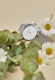 RADIANT MARGARITAS 36MM WHITE DIAL IPS MESH RA593201