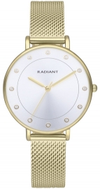 RELOJ BOX 36MM SILVER DIAL IPG MESH